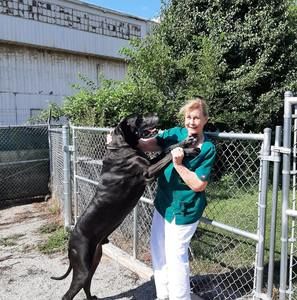 Meet your Posher, Donna